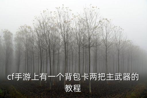 cf手游背包武器怎么玩，穿越火线背包2的武器怎么用
