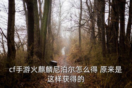 cf手游尼泊尔怎么复制，cf手游尼泊尔怎么获得