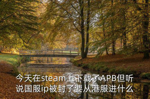 今天在steam上下载了APB但听说国服ip被封了要从港服进什么