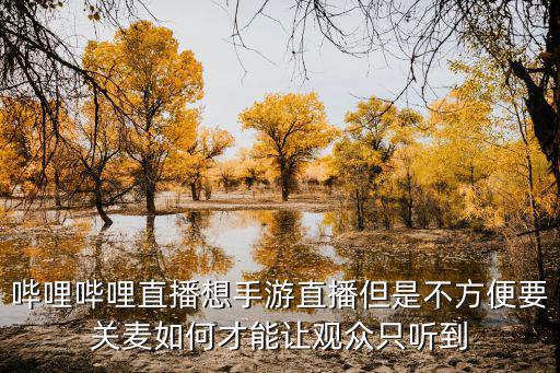 手游直播怎么才能只弄游戏声音，哔哩哔哩直播想手游直播但是不方便要关麦如何才能让观众只听到