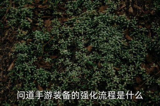 问道手游装备怎么加强伤害，问道怎么强化武器的伤害