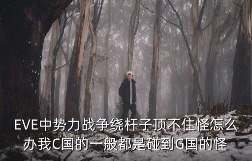 EVE中势力战争绕杆子顶不住怪怎么办我C国的一般都是碰到G国的怪