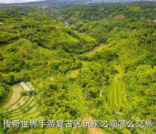 传奇世界手游复古区玩家之间怎么交易
