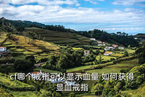 cf哪个戒指可以显示血量 如何获得显血戒指