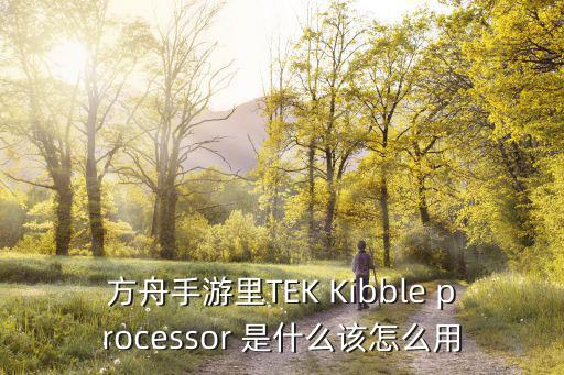 方舟手游二代龙怎么看属性，方舟手游里TEK Kibble processor 是什么该怎么用