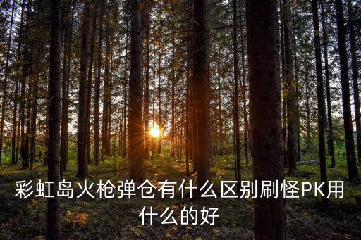 彩虹岛火枪弹仓有什么区别刷怪PK用什么的好