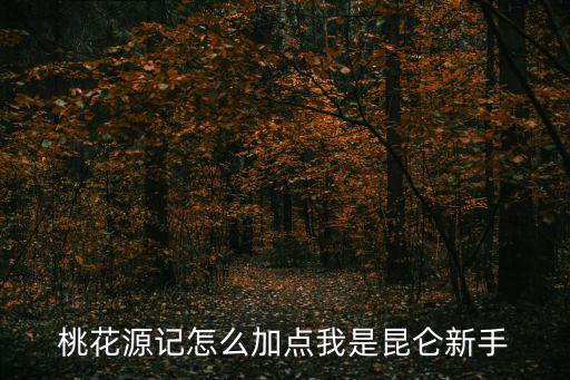 桃花源记怎么加点我是昆仑新手