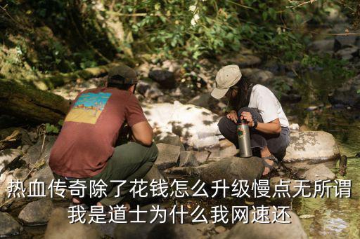 热血传奇除了花钱怎么升级慢点无所谓我是道士为什么我网速还