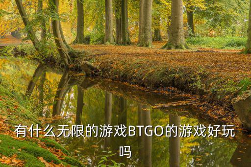 有什么无限的游戏BTGO的游戏好玩吗