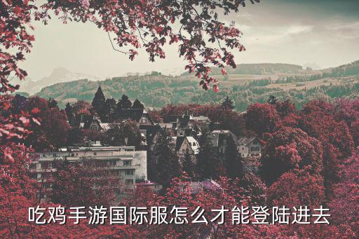 吃鸡手游国际服怎么才能登陆进去
