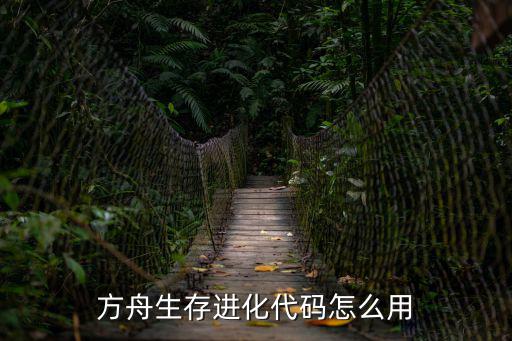 方舟生存进化代码怎么用
