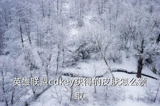 英雄联盟cdkey获得的皮肤怎么领取