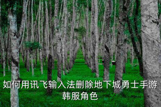 韩服手游角色怎么删除，如何用讯飞输入法删除地下城勇士手游韩服角色