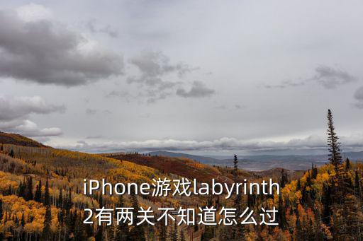 iPhone游戏labyrinth2有两关不知道怎么过