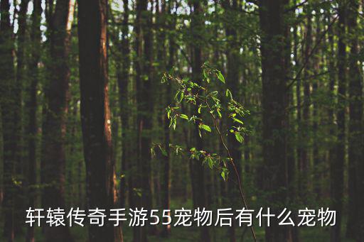 轩辕传奇手游55宠物后有什么宠物