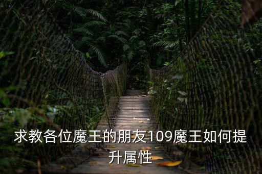 求教各位魔王的朋友109魔王如何提升属性