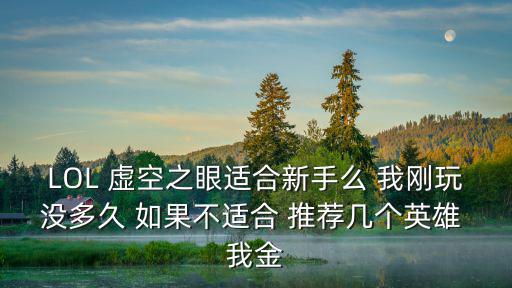 LOL 虚空之眼适合新手么 我刚玩没多久 如果不适合 推荐几个英雄 我金