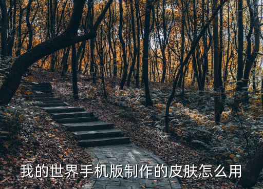 手游我的世界特效怎么用，我的世界手机版制作的皮肤怎么用