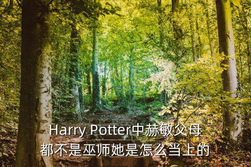 Harry Potter中赫敏父母都不是巫师她是怎么当上的