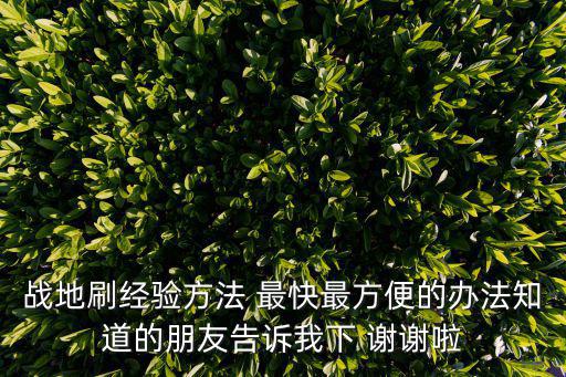 战地刷经验方法 最快最方便的办法知道的朋友告诉我下 谢谢啦