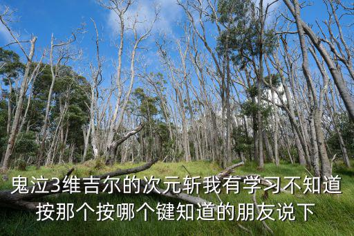 鬼泣3维吉尔的次元斩我有学习不知道按那个按哪个键知道的朋友说下