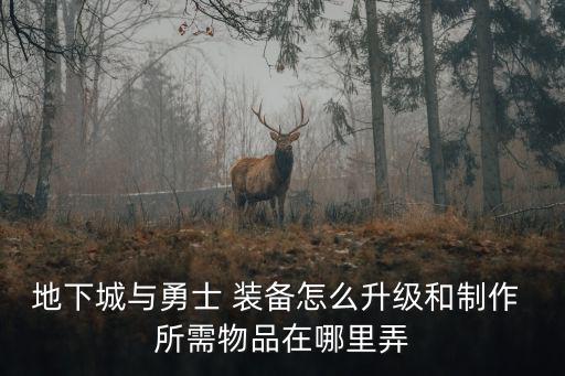 地下城与勇士手游道具怎么升级，地下城与勇士装备怎么升级