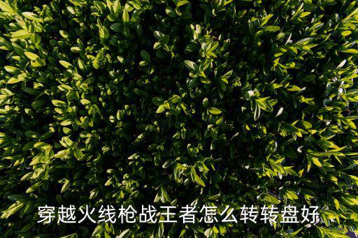 穿越火线枪战王者怎么转转盘好