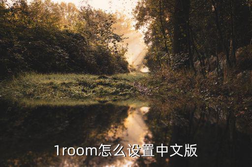 1room怎么设置中文版