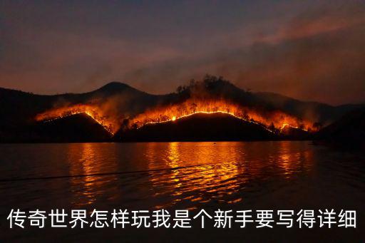 传奇世界怎样玩我是个新手要写得详细