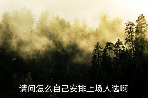 请问怎么自己安排上场人选啊