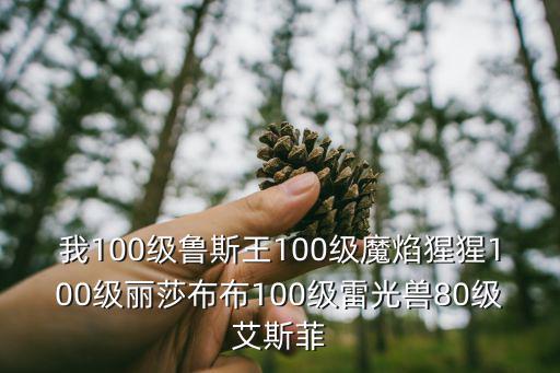 我100级鲁斯王100级魔焰猩猩100级丽莎布布100级雷光兽80级艾斯菲