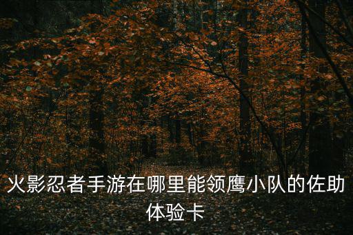 火影忍者手游在哪里能领鹰小队的佐助体验卡