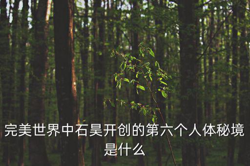 完美世界中石昊开创的第六个人体秘境是什么