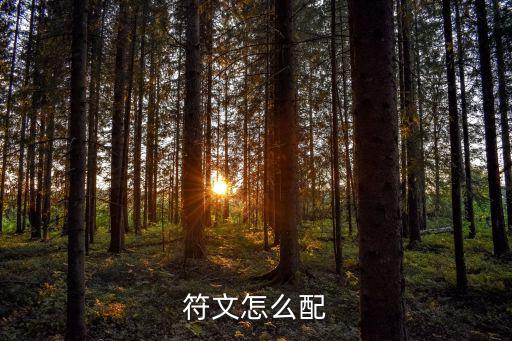 符文怎么配
