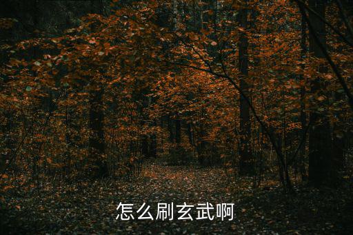 怎么刷玄武啊