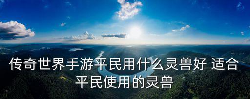传奇世界手游平民用什么灵兽好 适合平民使用的灵兽