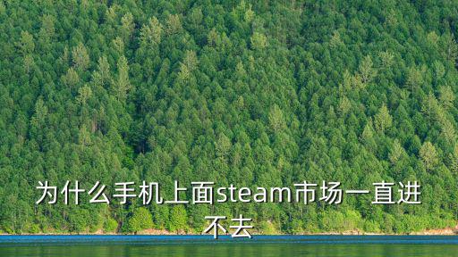 为什么手机上面steam市场一直进不去