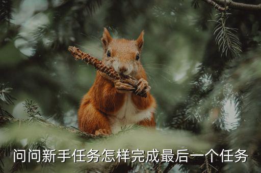 问问新手任务怎样完成最后一个任务