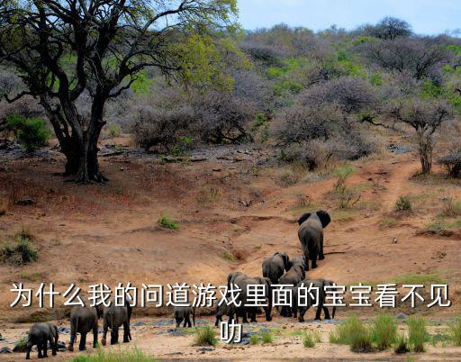 问道手游孩子悟性选项怎么不见了，为什么我的问道游戏里面的宝宝看不见叻