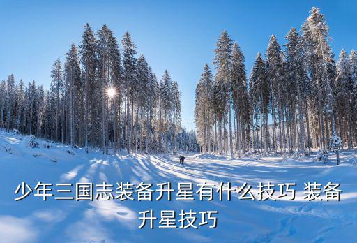 少年三国志装备升星有什么技巧 装备升星技巧