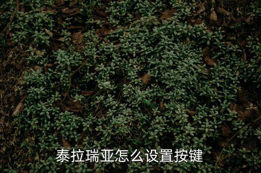 手游泰拉瑞亚怎么调设置，泰拉瑞亚手机版怎么设置重生点 最好有图片