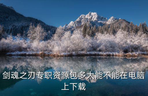 小皮手游网怎么下载，剑魂之刃专职资源包多大能不能在电脑上下载