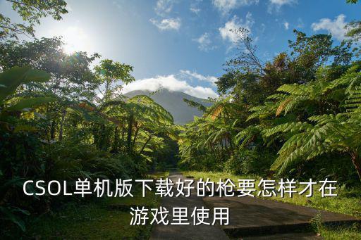 CSOL单机版下载好的枪要怎样才在游戏里使用