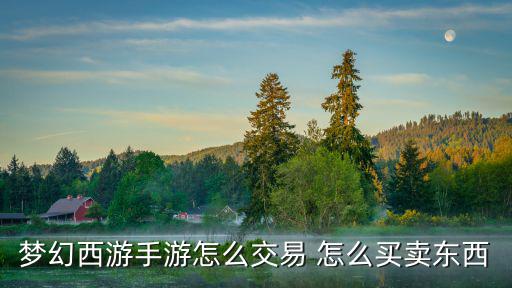 梦幻手游交易系统怎么玩，梦幻西游手游怎么交易 怎么买卖东西