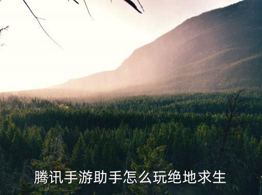 怎么玩到pubg手游，腾讯手游助手怎么玩绝地求生