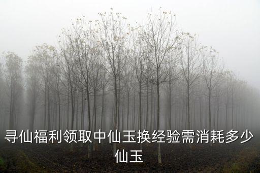 寻仙福利领取中仙玉换经验需消耗多少仙玉
