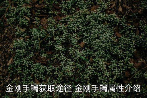 金刚手镯获取途径 金刚手镯属性介绍