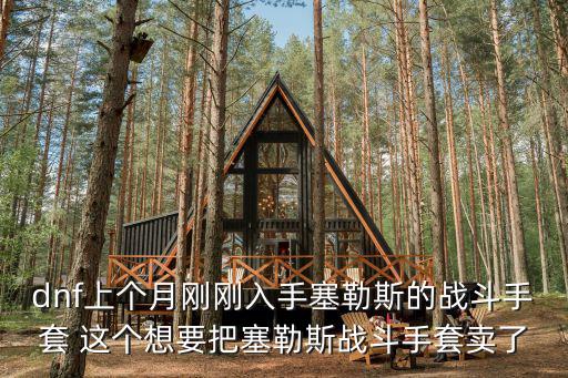 dnf上个月刚刚入手塞勒斯的战斗手套 这个想要把塞勒斯战斗手套卖了