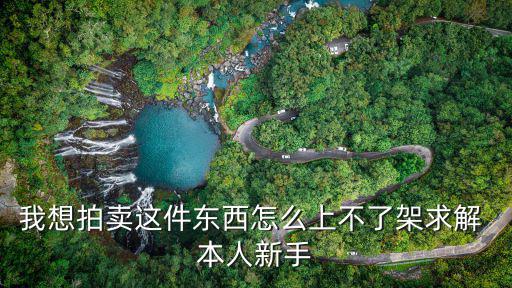 我想拍卖这件东西怎么上不了架求解 本人新手