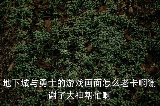 地下城与勇士的游戏画面怎么老卡啊谢谢了大神帮忙啊